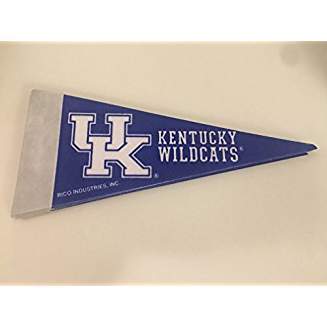 Kentucky Mini Pennant