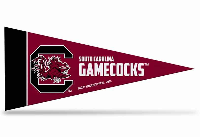 South Carolina Mini Pennant