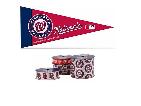 4 Pack + Mini Pennant - Washington Nationals