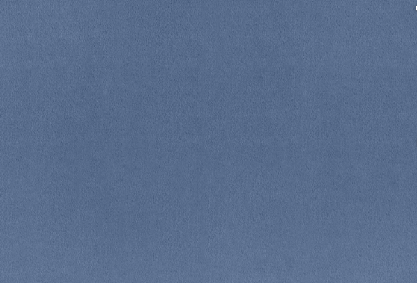 Shannon Fabrics - Cuddle 3 90" Extra Wide