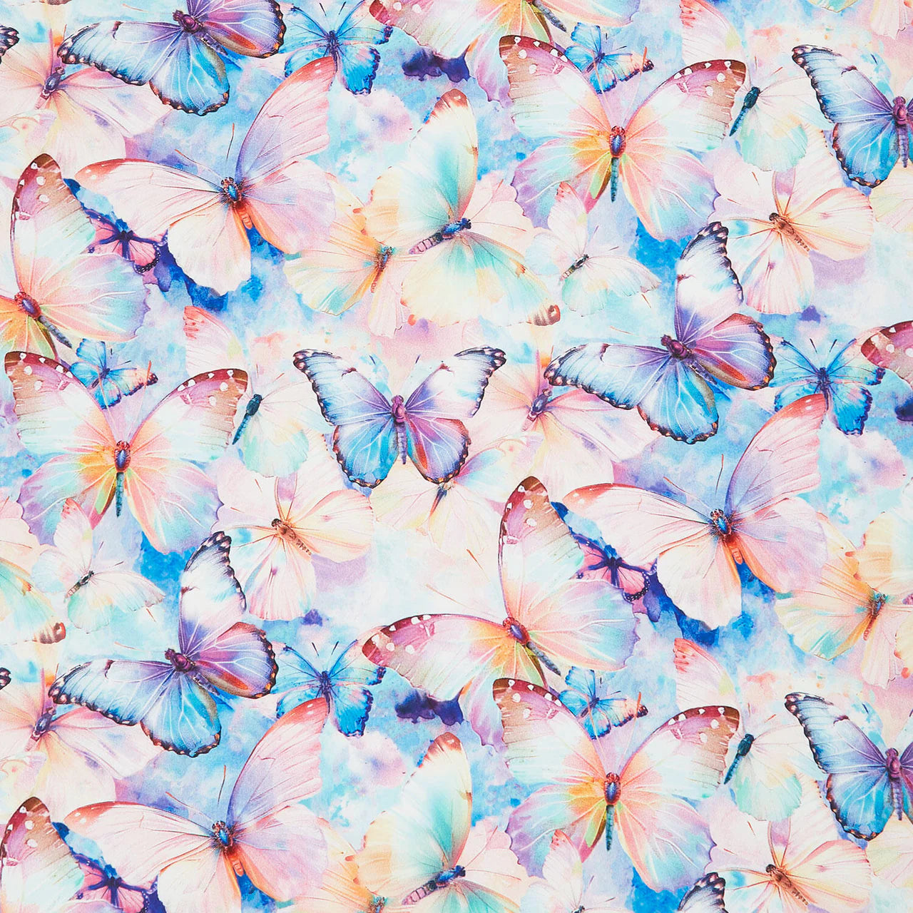 TT Butterflies
