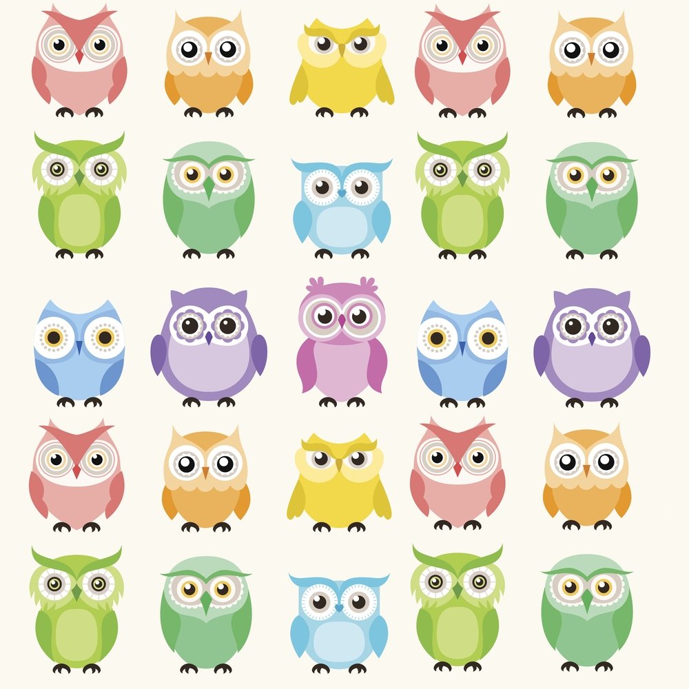 Colorful Owl Fabric - Multi