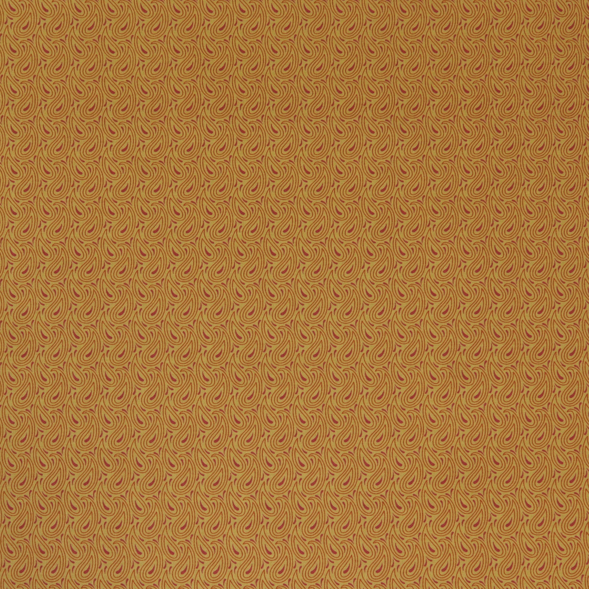 Transparency Watercolors Fabric Collection - Paisley Mango