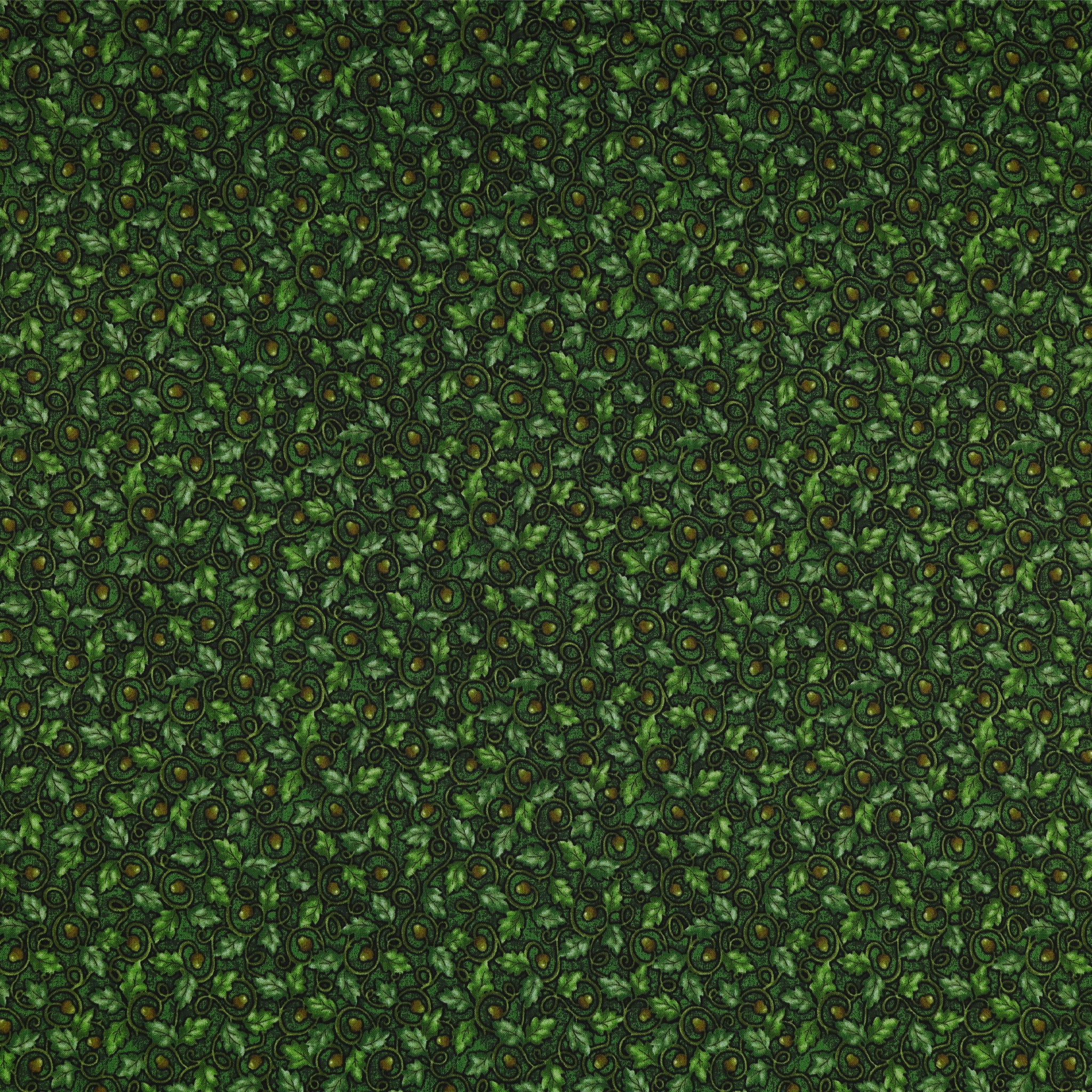 Wander Lane II Fabric Collection - Acorns Forest