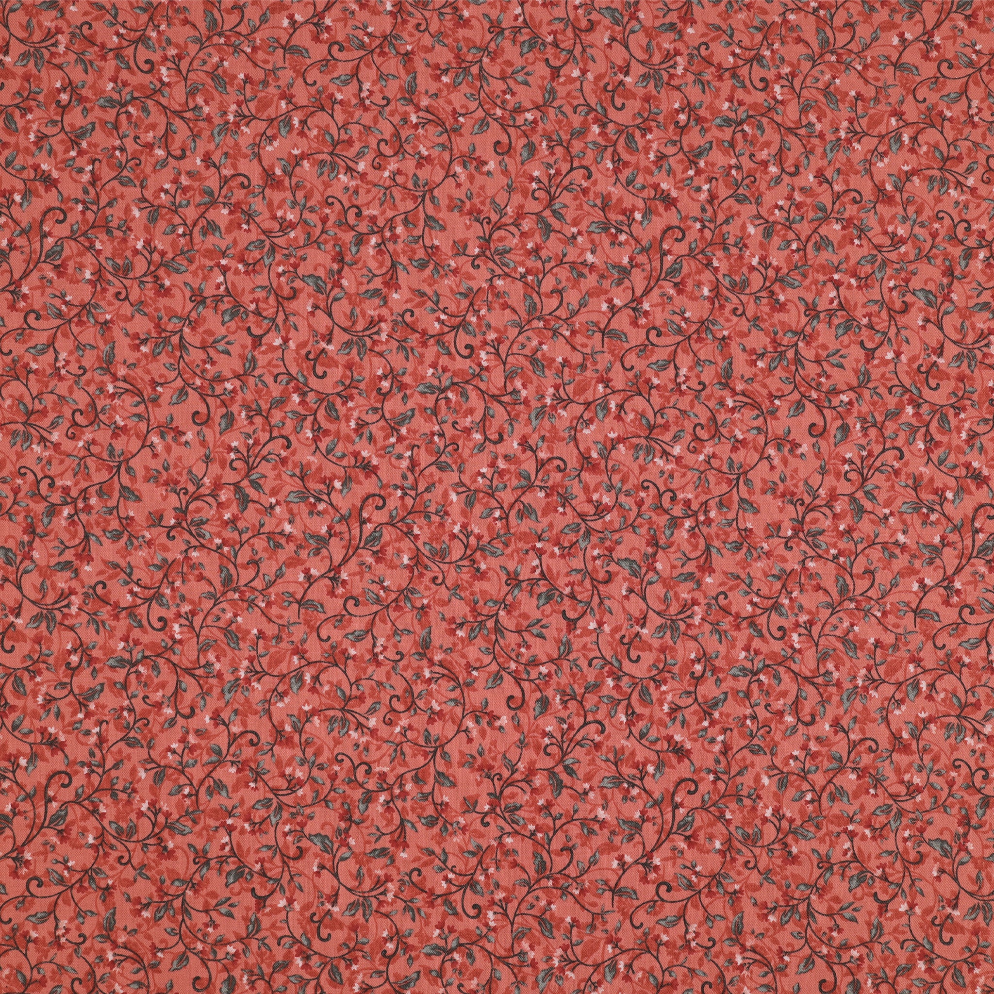 Wander Lane II Fabric Collection - Snow Drop Coral