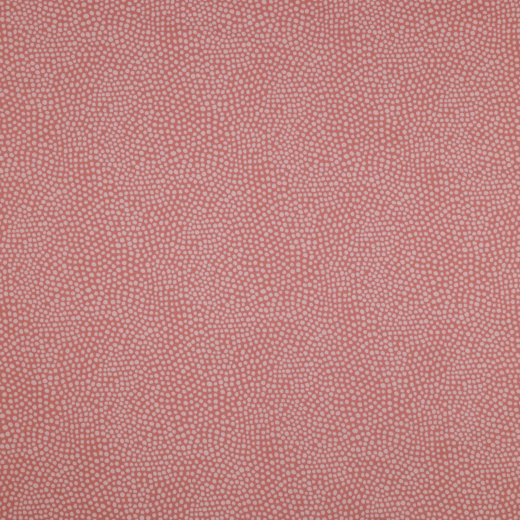 Wander Lane Fabric Collection - Dew Drops Coral