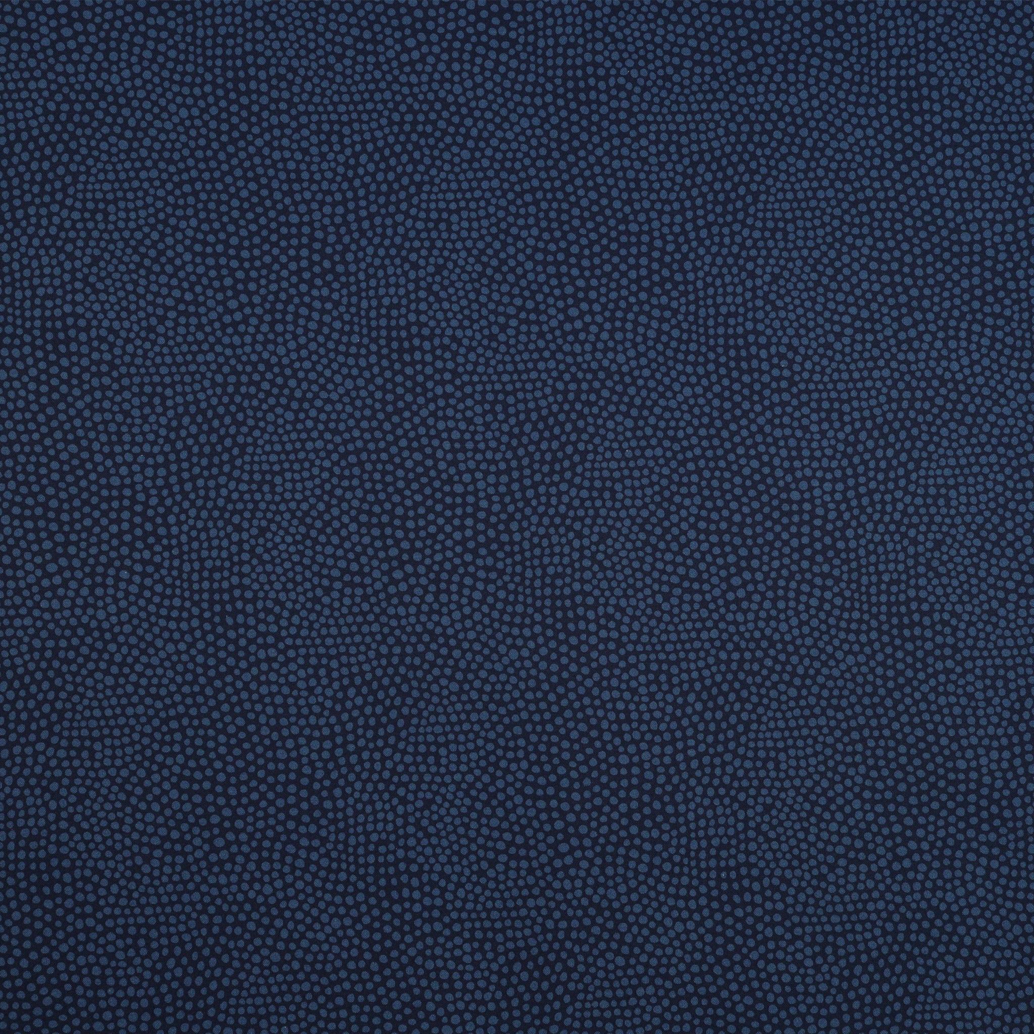 Wander Lane Fabric Collection - Dew Drops Navy
