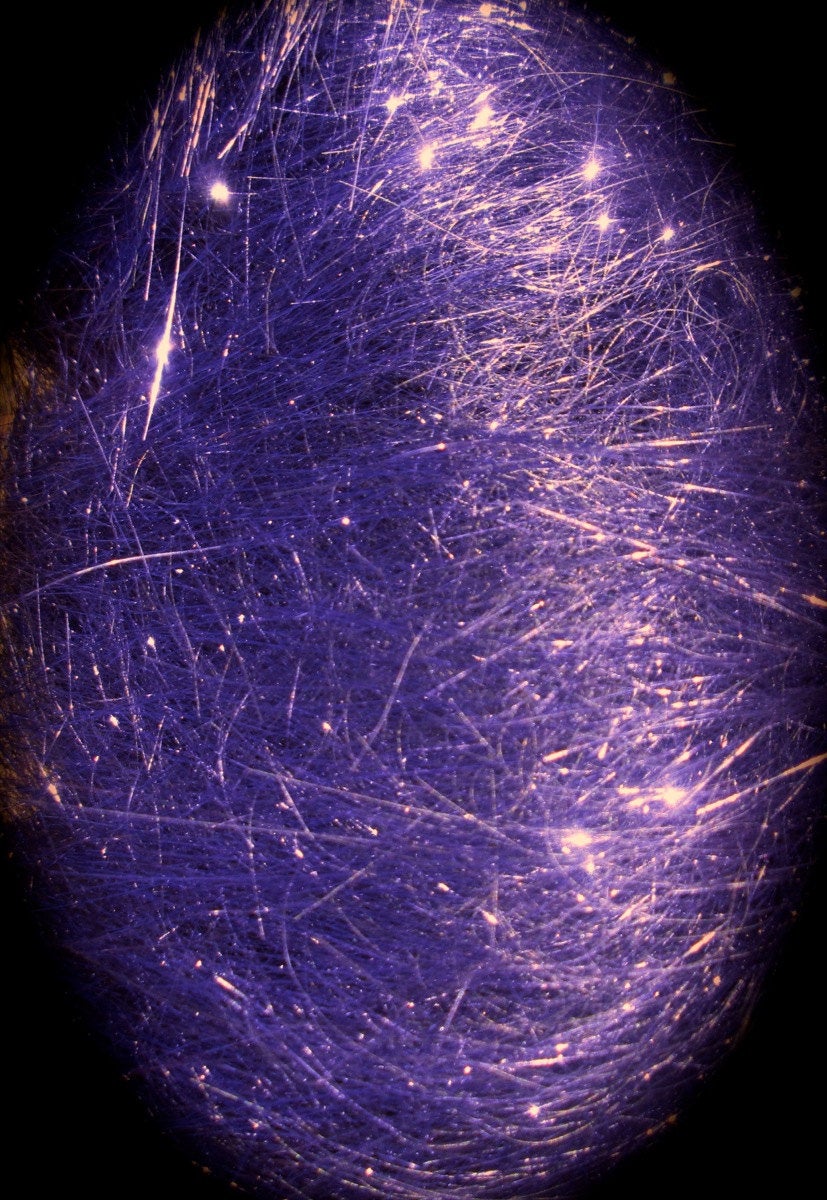 Deep Purple Angelina