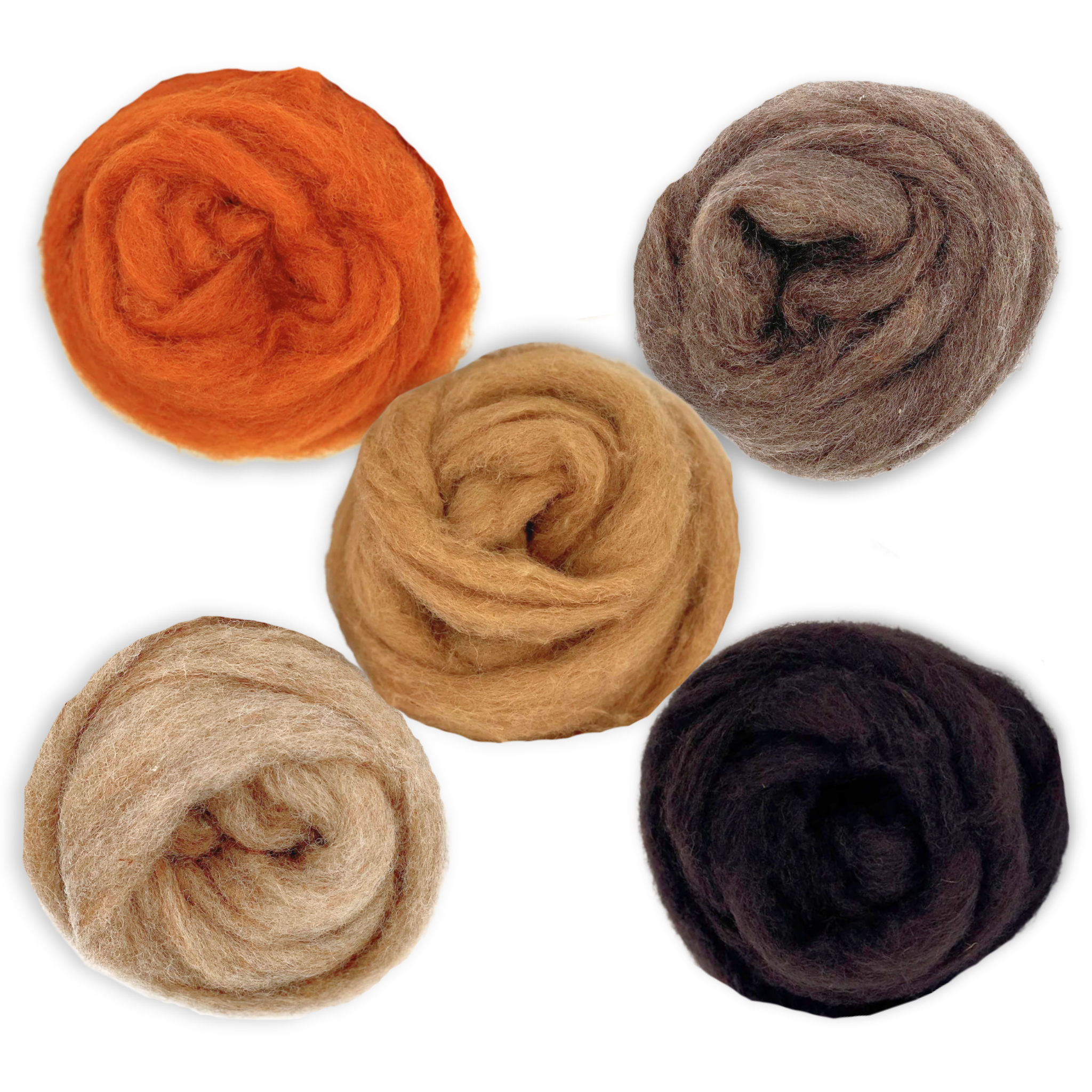 Autumn Harvest Carded Corriedale Wool Sliver Variety Pack