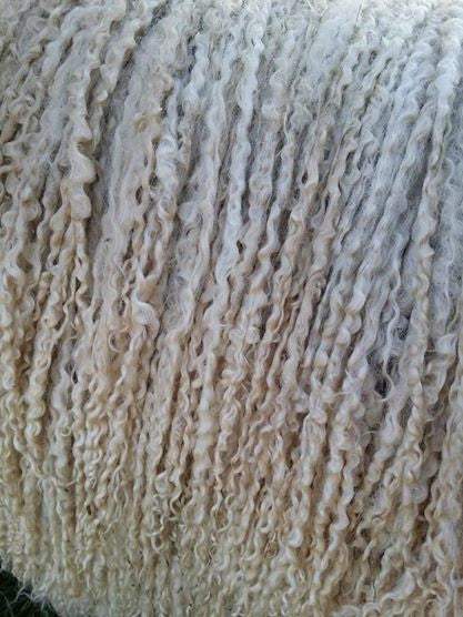 Stacie Locks - Sold by the ounce