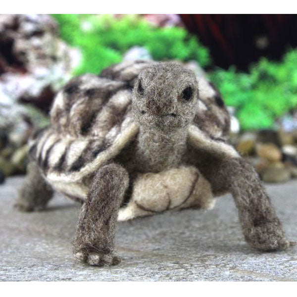 World of Wool Felting Kit - Toto the Tortoise