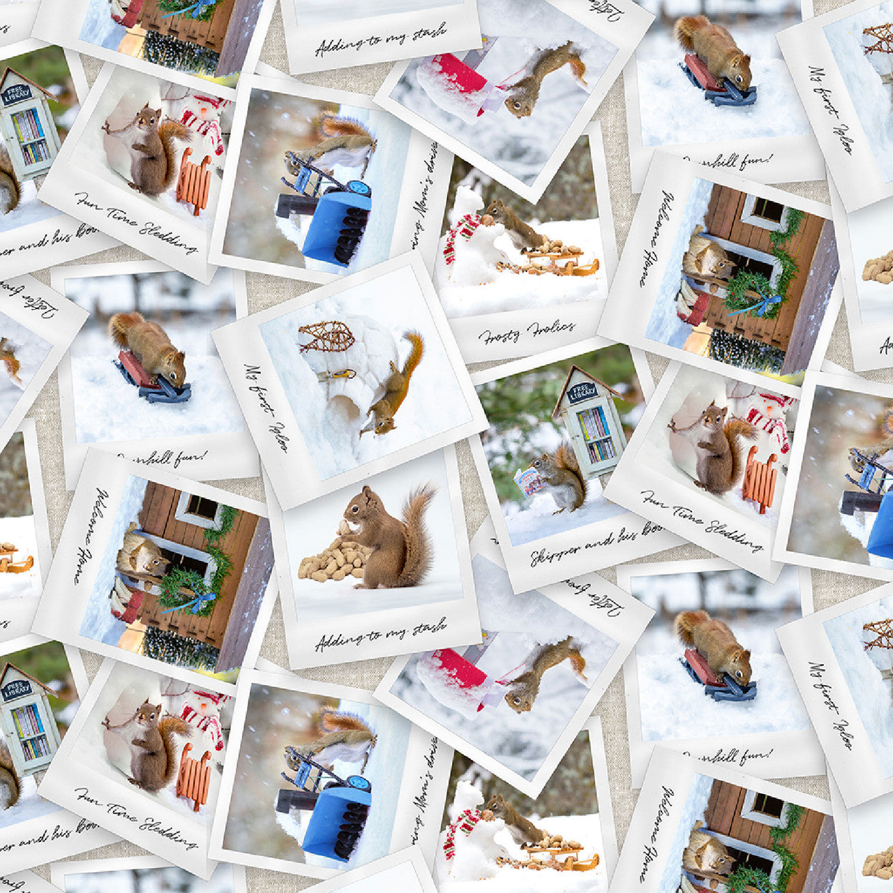 Clothworks Fabrics - The Secret Life of Squirrels II, Photos and Snapshots, Multi Color || SOLD BY THE HALF YARD