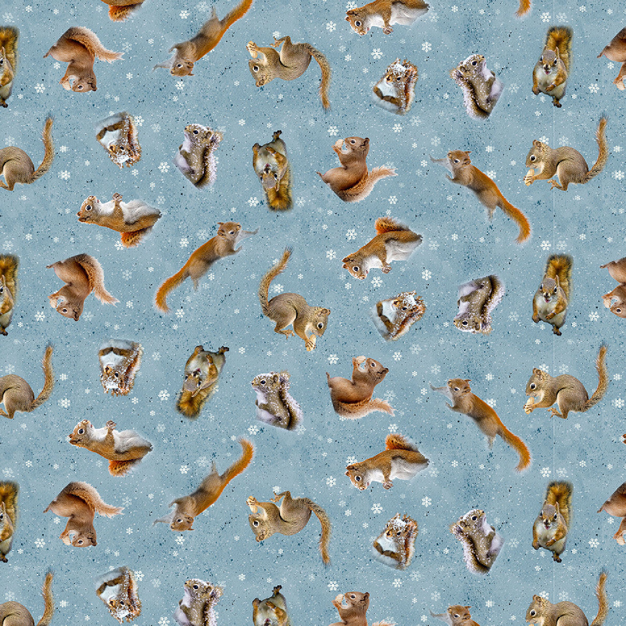 Clothworks Fabrics - The Secret Life of Squirrels II,  Tossed Squirrels, Denim || SOLD BY THE HALF YARD