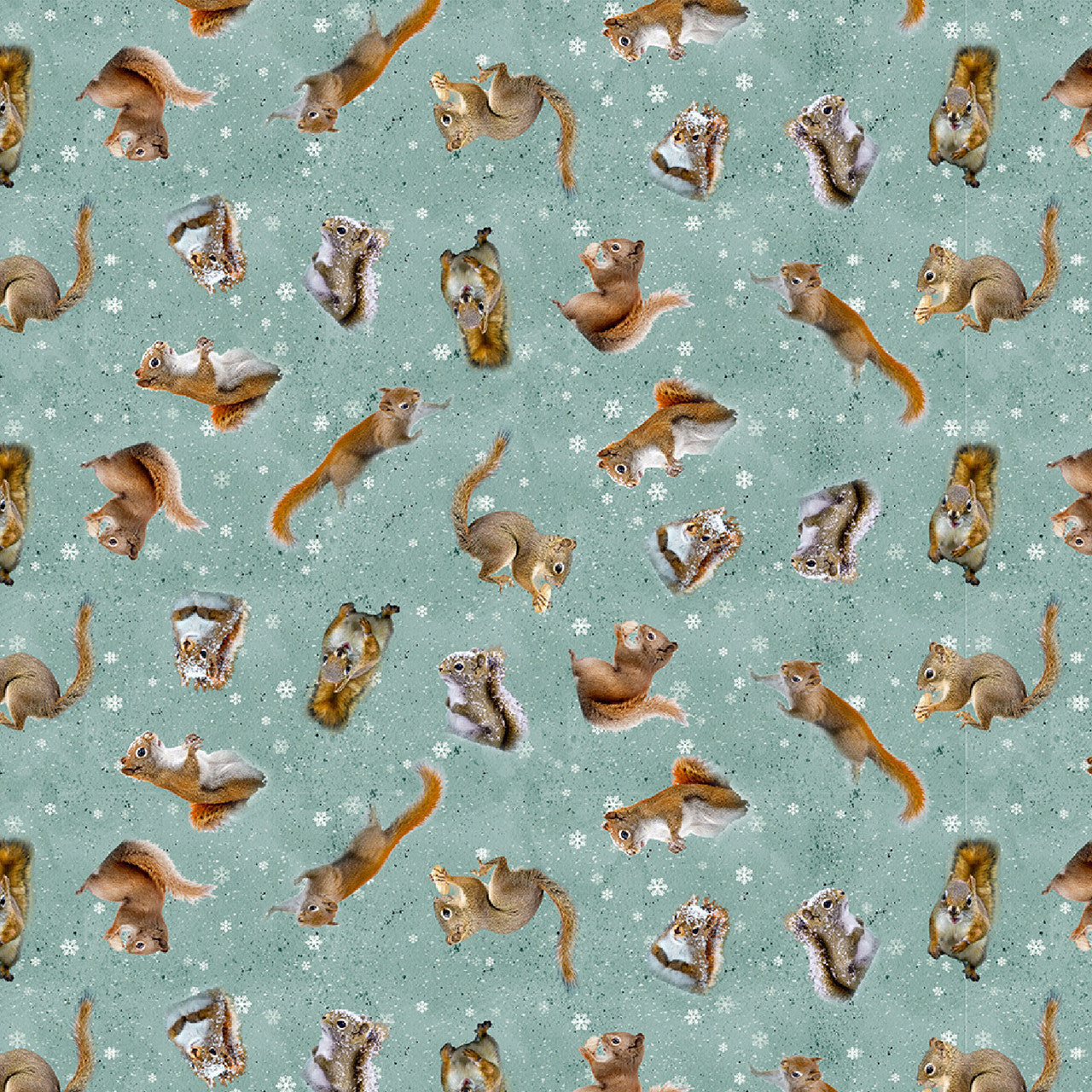 Clothworks Fabrics - The Secret Life of Squirrels, Tossed Squirrels, Teal || SOLD BY THE HALF YARD
