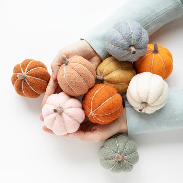 Sculpting with Wool Needle Felting Kit - Pumpkin Party