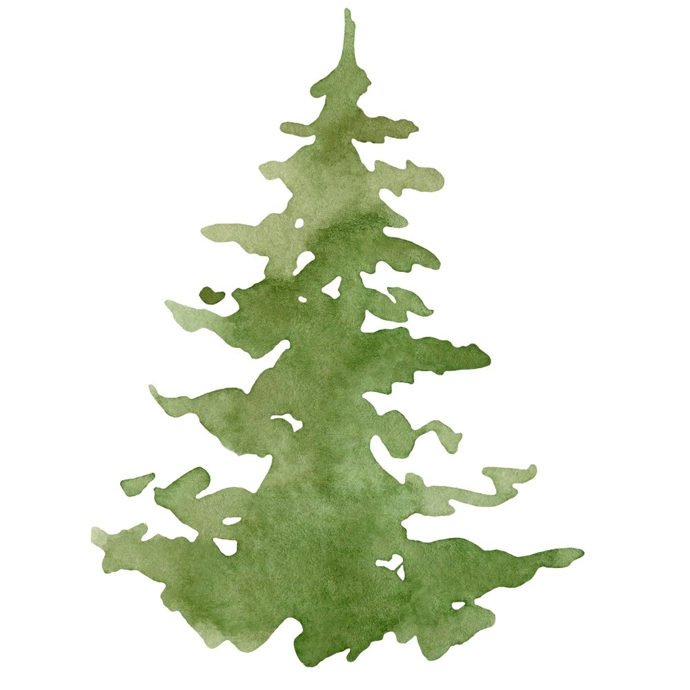 Watercolor Fir Tree Fabric Panel - Green