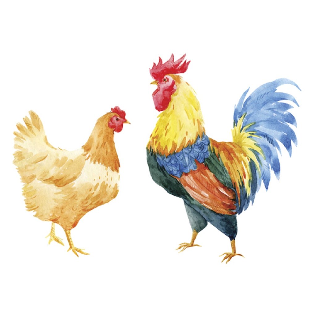 Watercolor Rooster & Hen Fabric Panel - White