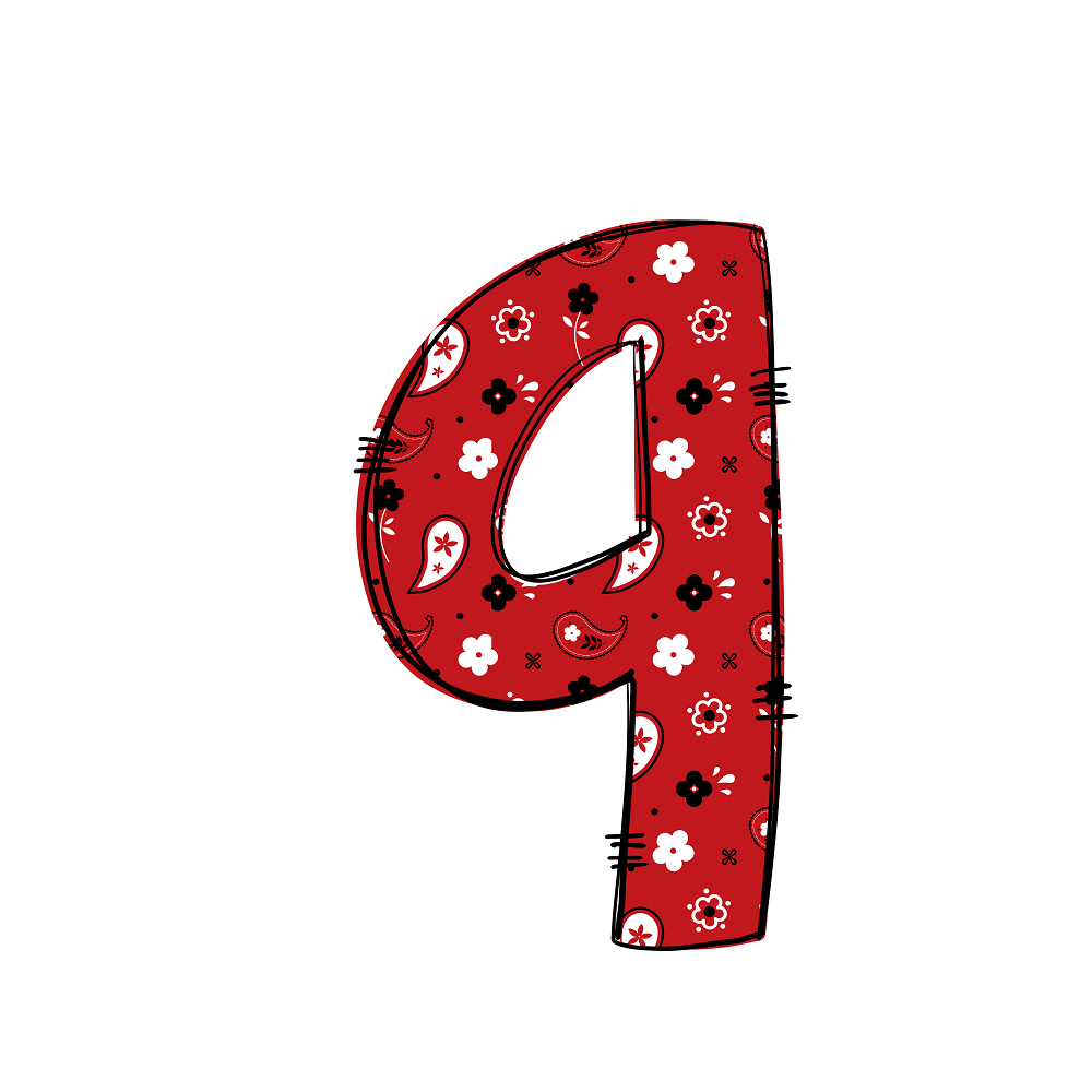 Western Cowboy ''9'' Paisley Fabric Panel