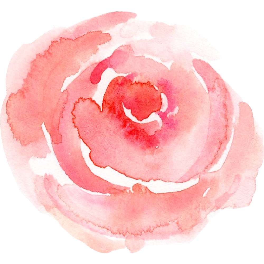 Watercolor Rose Fabric Panel - Light Pink