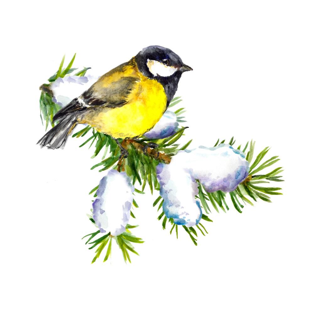 Watercolor Great Tit Bird On Branch Fabric Panel