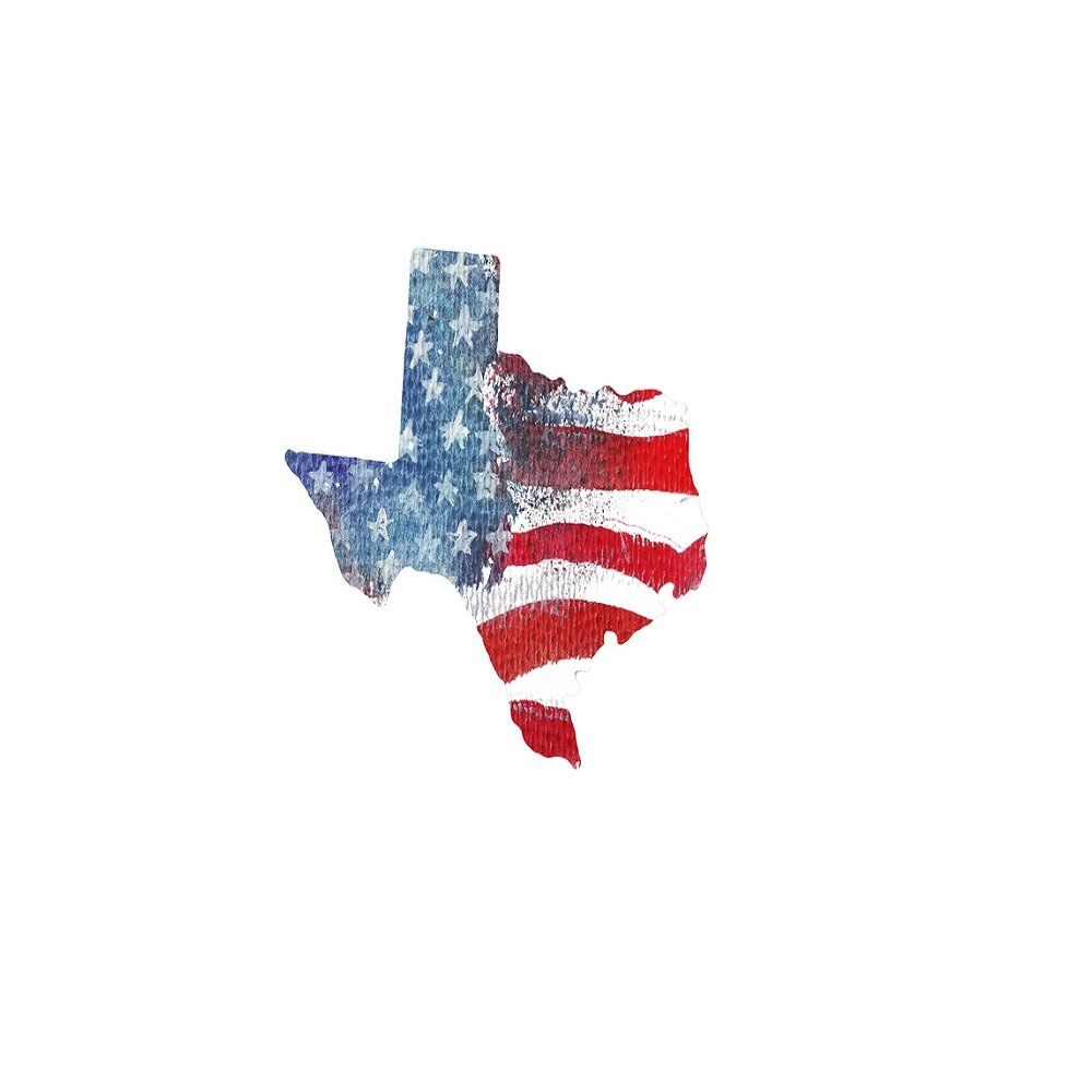 Watercolor Textured Flag Fabric Panel - Texas