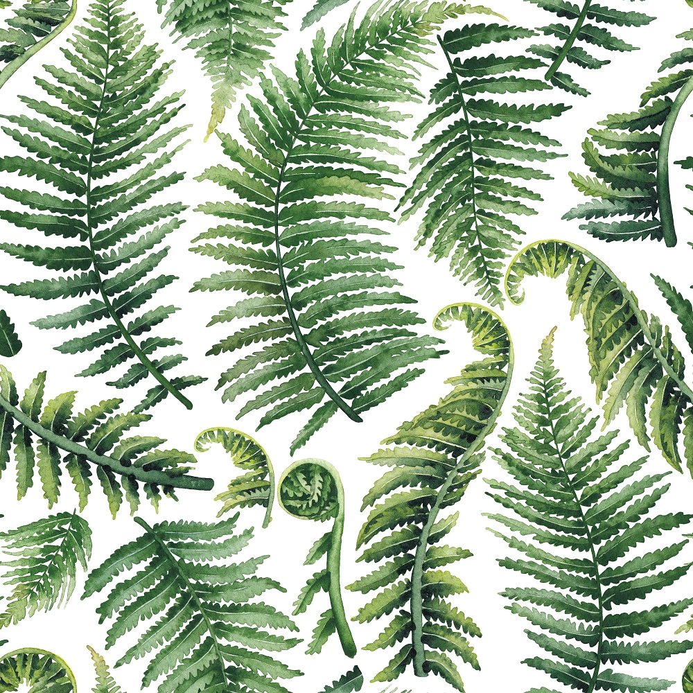 Watercolor Prehistoric Ferns Fabric - White