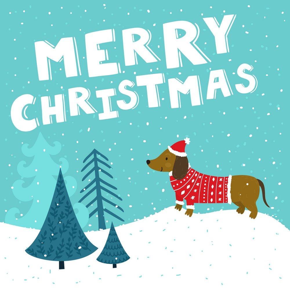 A Dachshund Christmas Fabric Panel - Blue