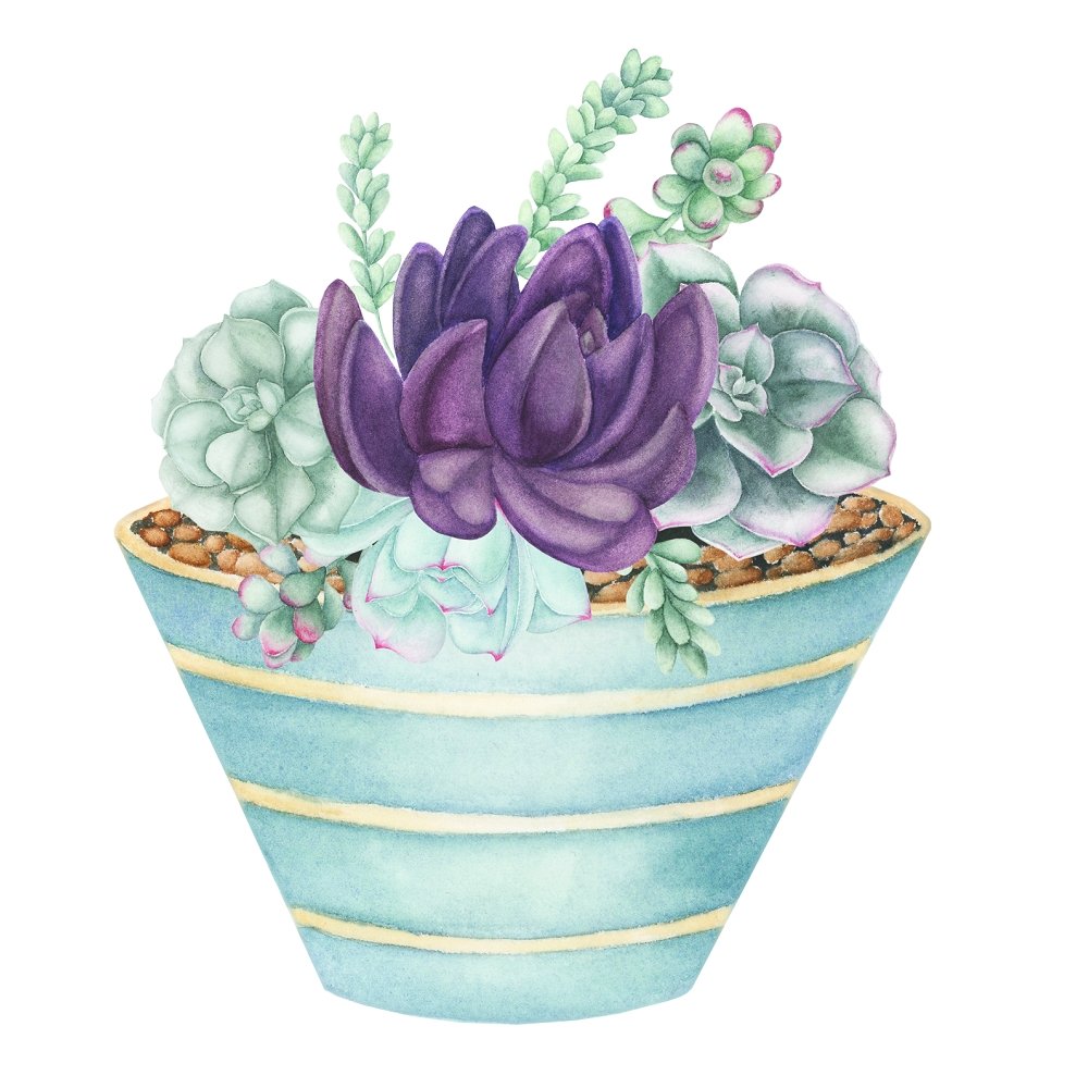 Violet Watercolor Succulents Fabric Panel Variation 2