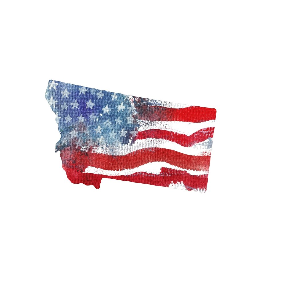 Watercolor Textured Flag Fabric Panel - Montana