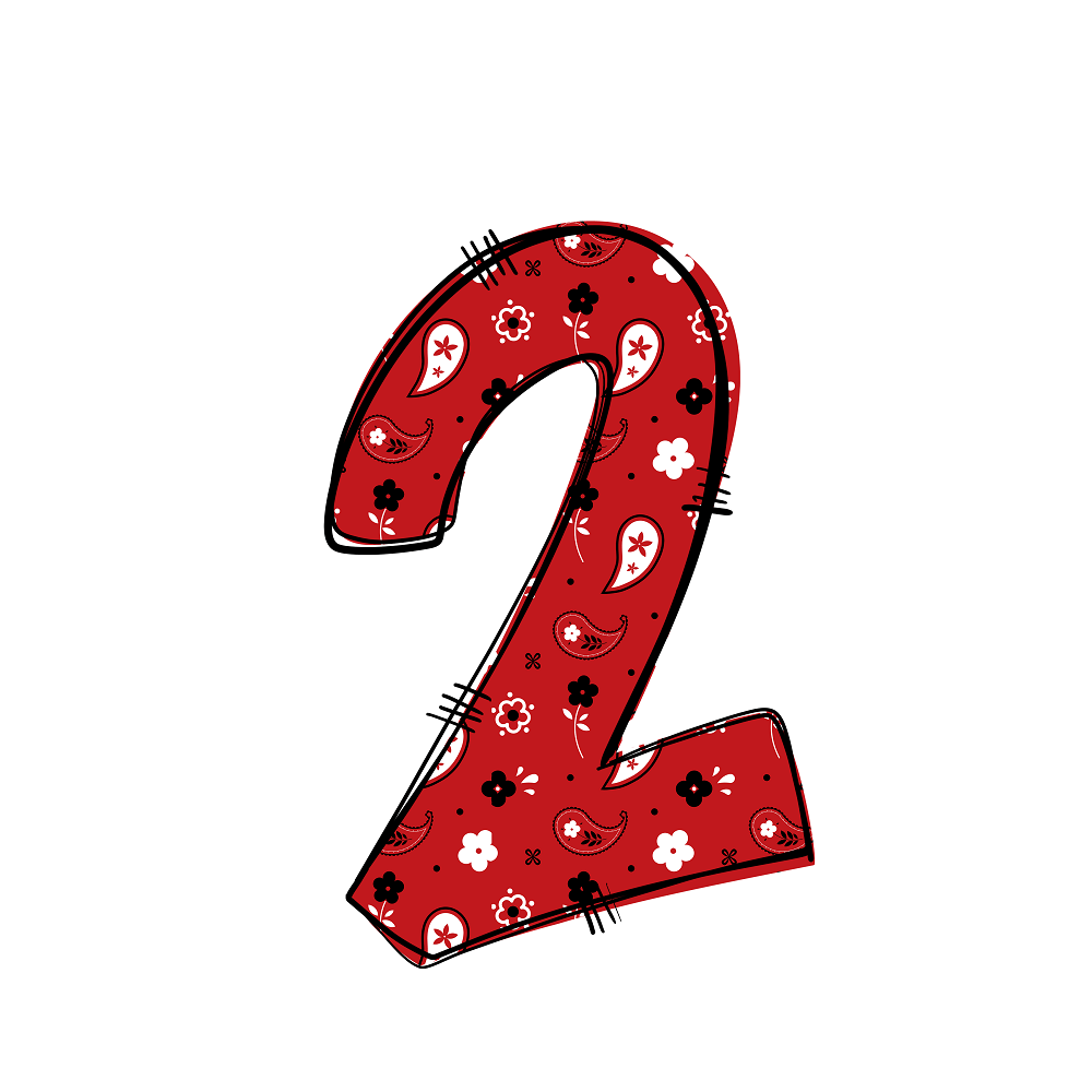 Western Cowboy ''2'' Paisley Fabric Panel