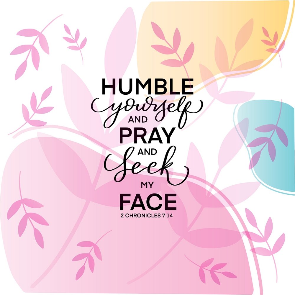 2 Chronicles 7:14 Fabric Panel - Pink