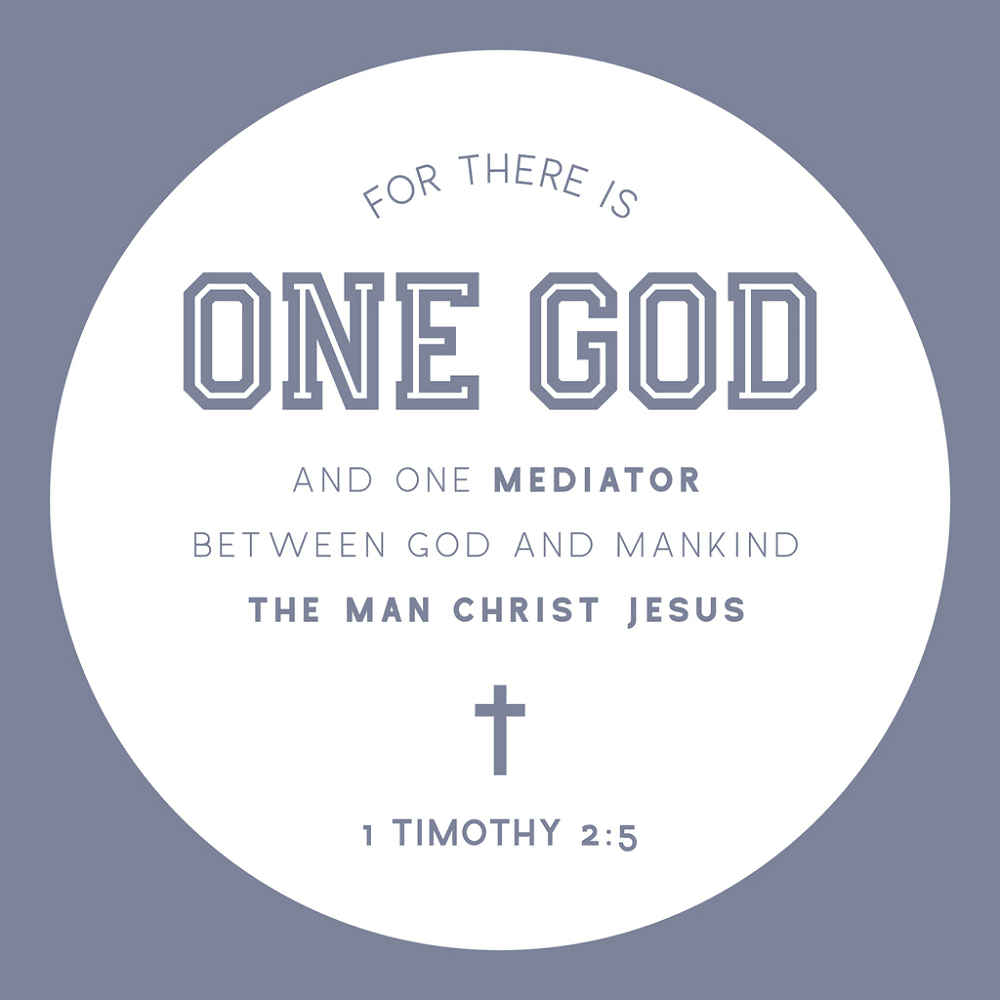 1 Timothy 2:5 Fabric Panel - Blue