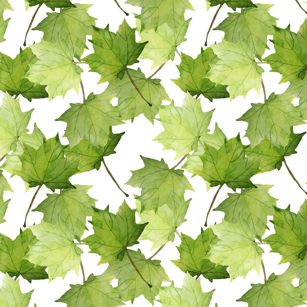 Assorted Maple Leaf Fabric - Green/White