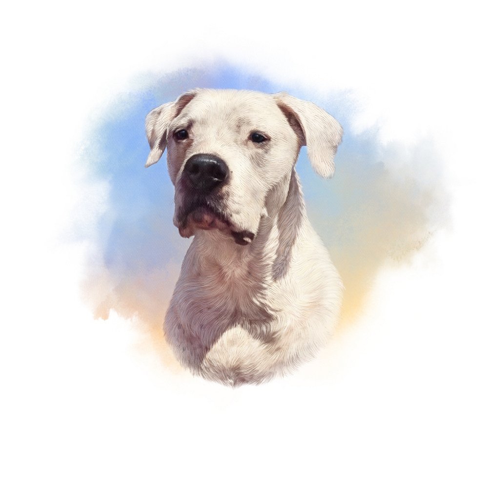 Argentino Dogo Portrait Fabric Panel