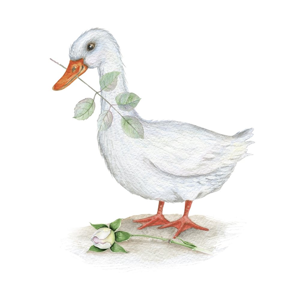 Vintage Goose with White Rose Fabric Panel