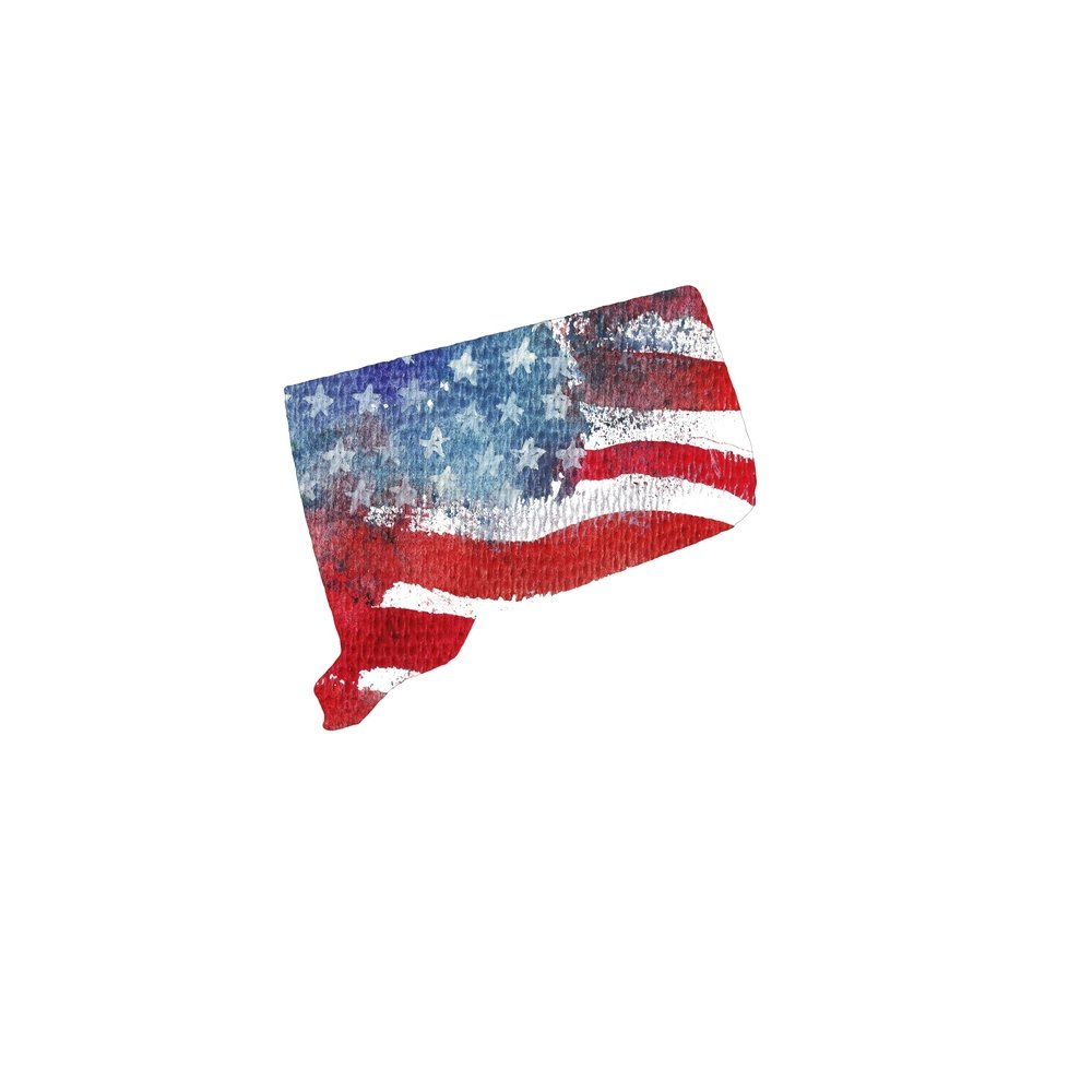 Watercolor Textured Flag Fabric Panel - Connecticut