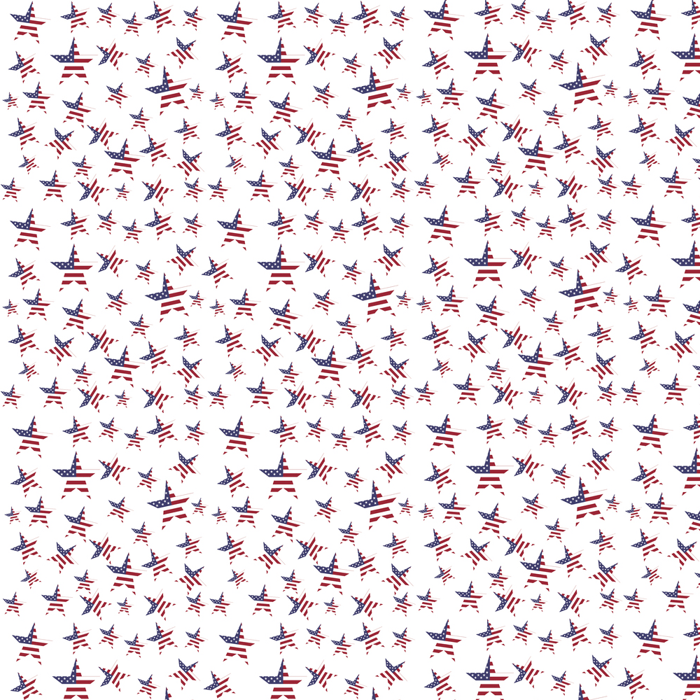 USA Flag Stars Fabric - Multi