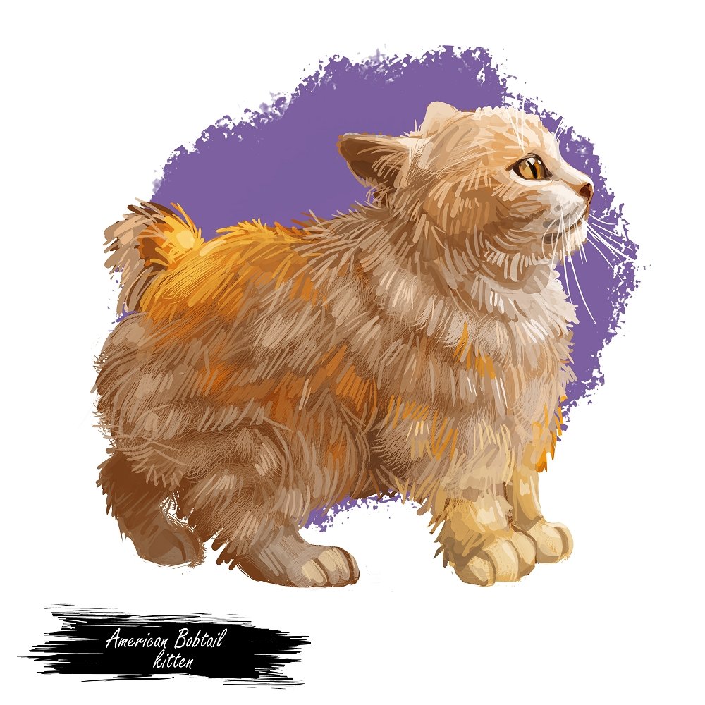 American Bobtail Kitten Portrait Fabric Panel