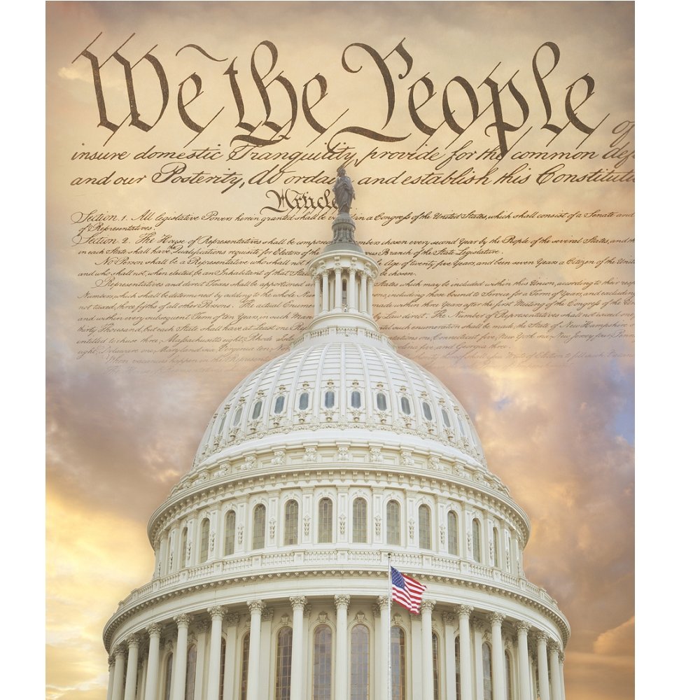 American Constitution Fabric Panel