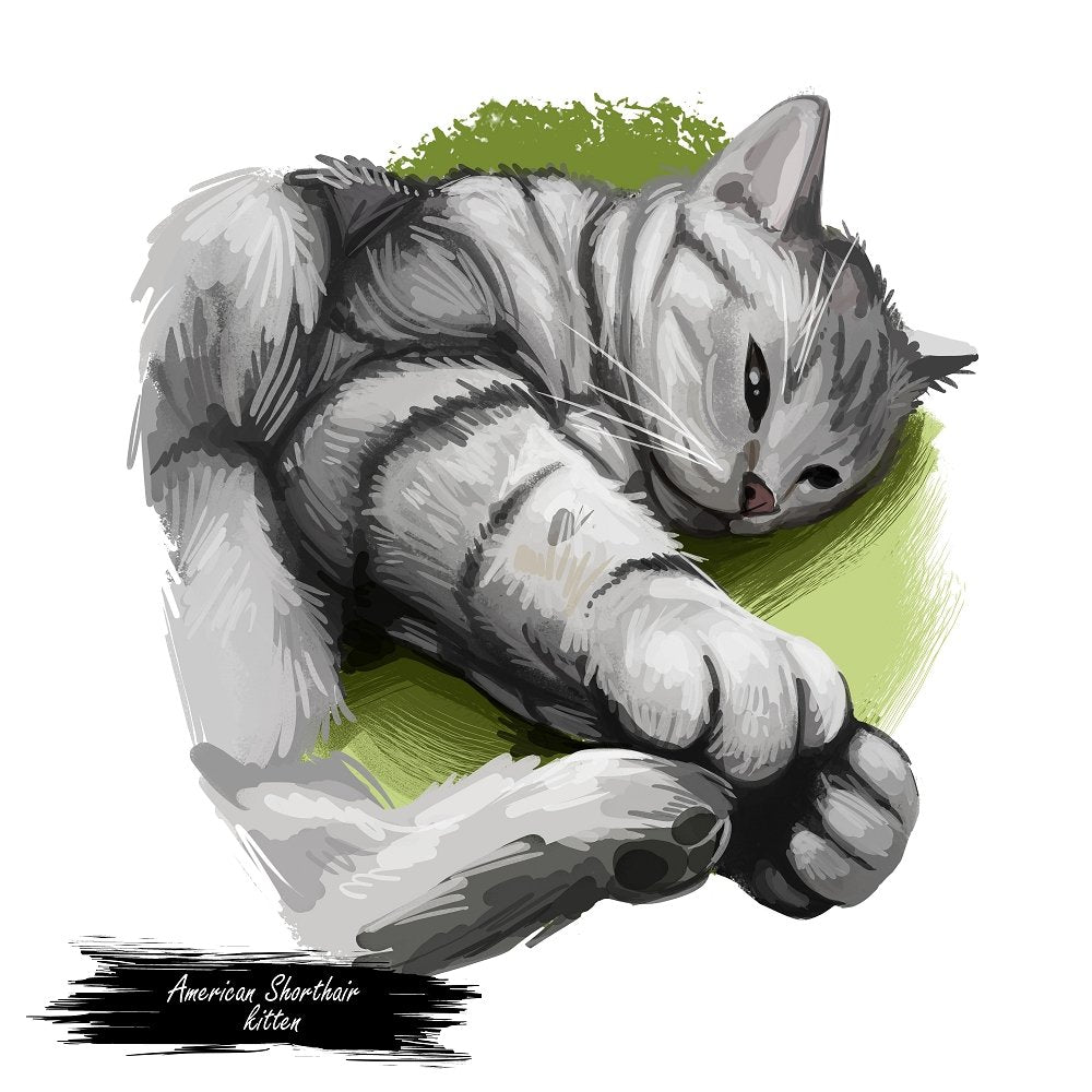 American Shorthair Kitten Portrait Fabric Panel