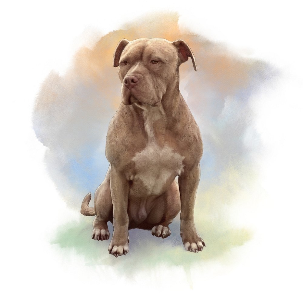 American Staffordshire Terrier Portrait Fabric Panel