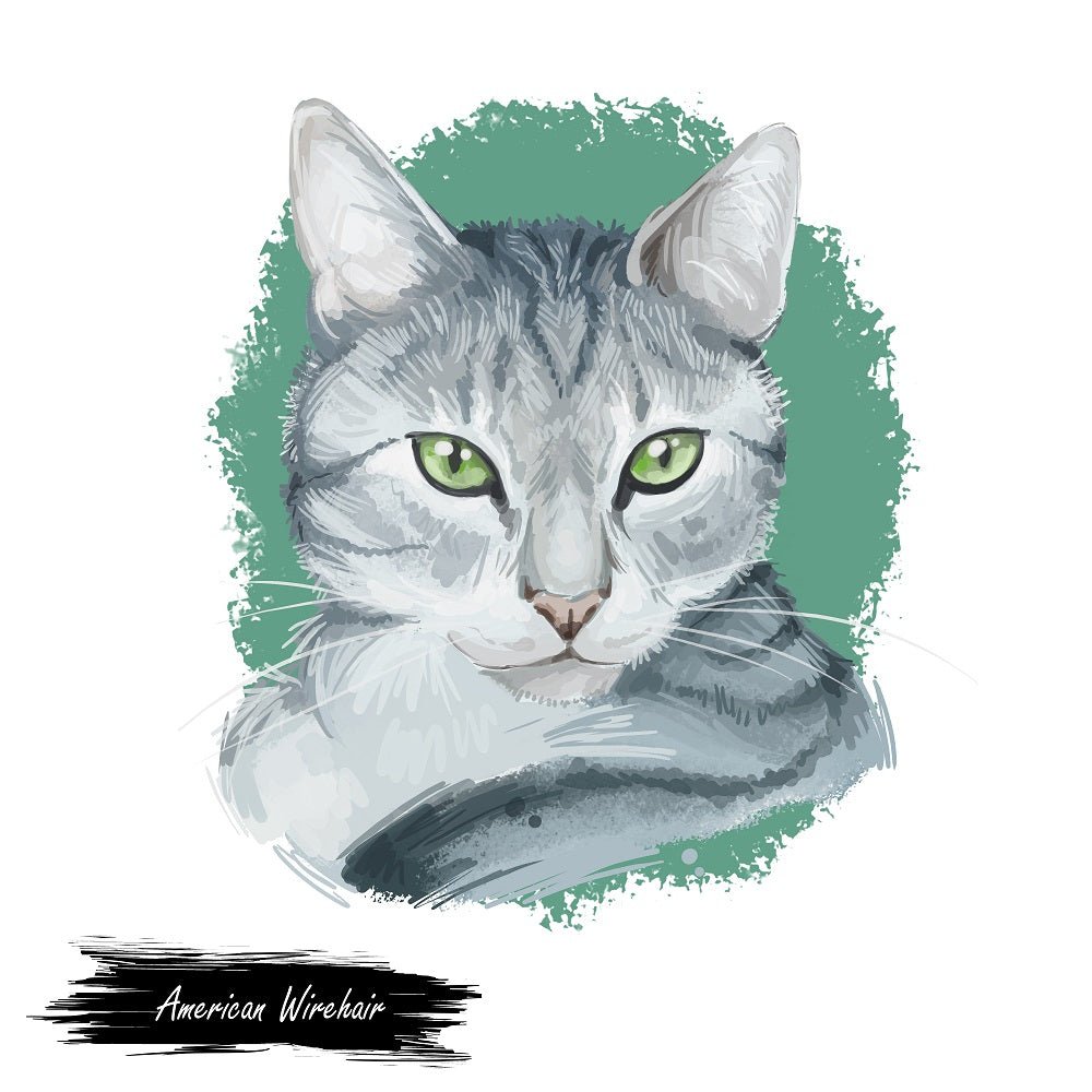 American Wirehair Cat Portrait Fabric Panel