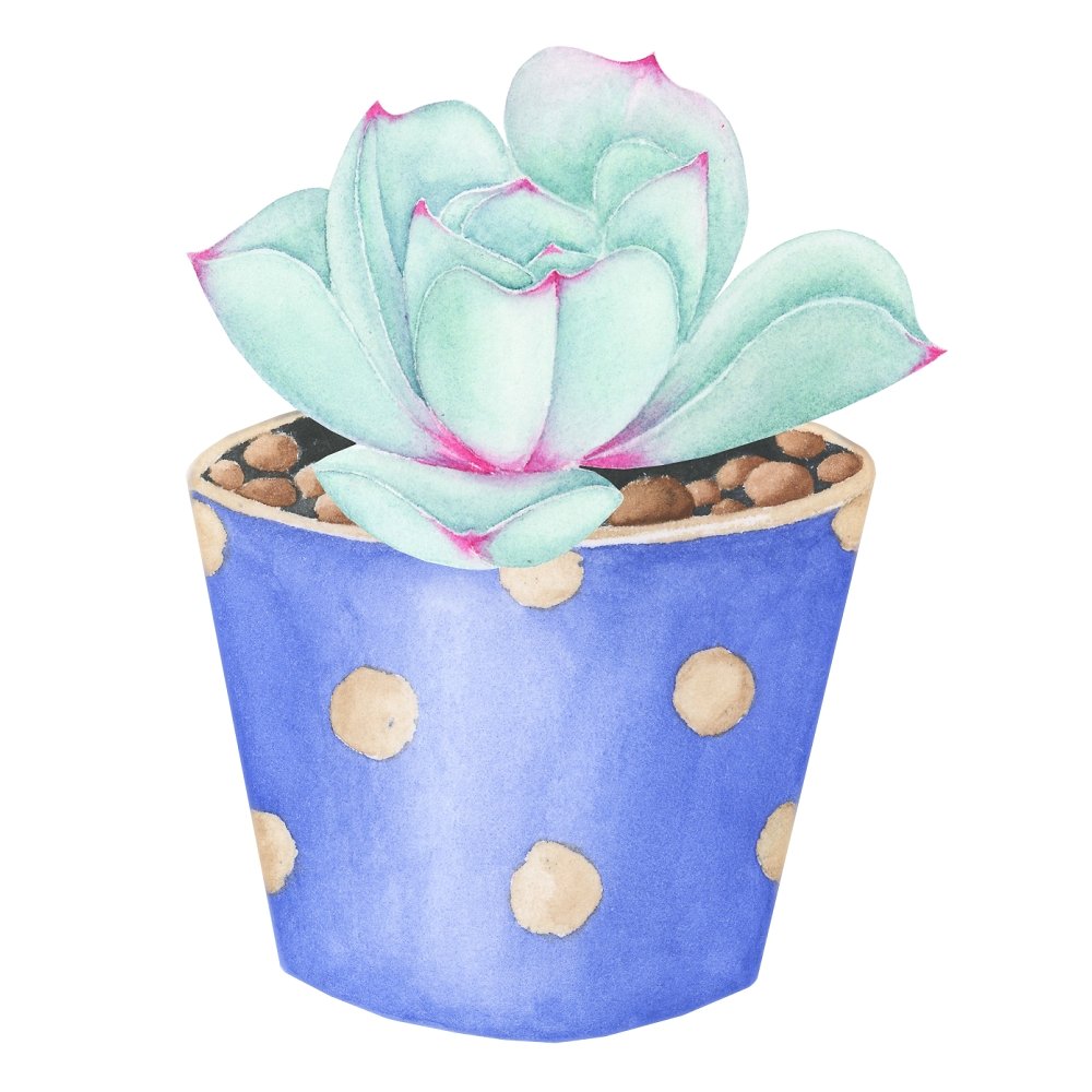 Teal Watercolor Succulent Fabric Panel