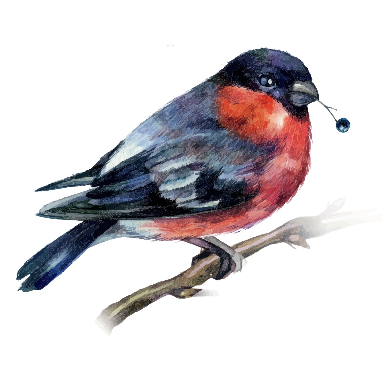 Watercolor Bullfinch Fabric Panel - White
