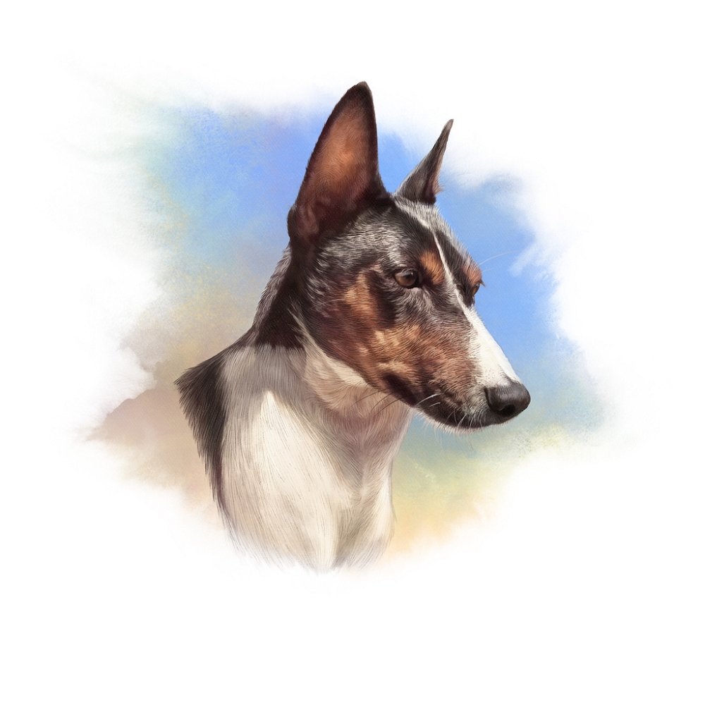 Tricolor Basenji Portrait Fabric Panel