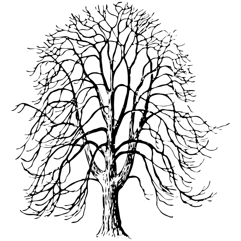 Aesculus Hippocastanum Tree Fabric Panel