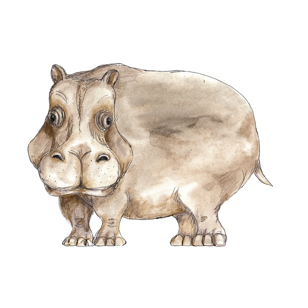 African Hippo Fabric Panel - Gray