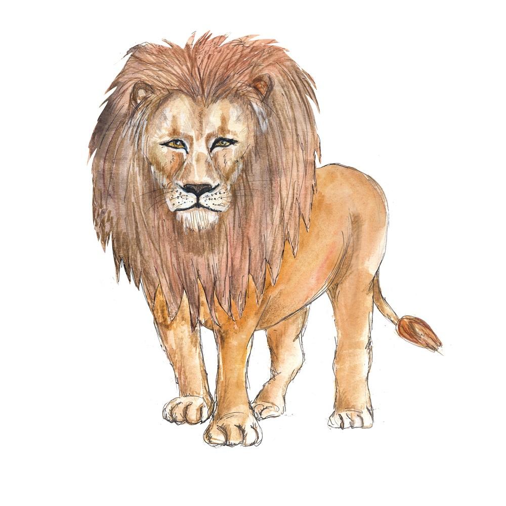 African Lion Fabric Panel - Tan