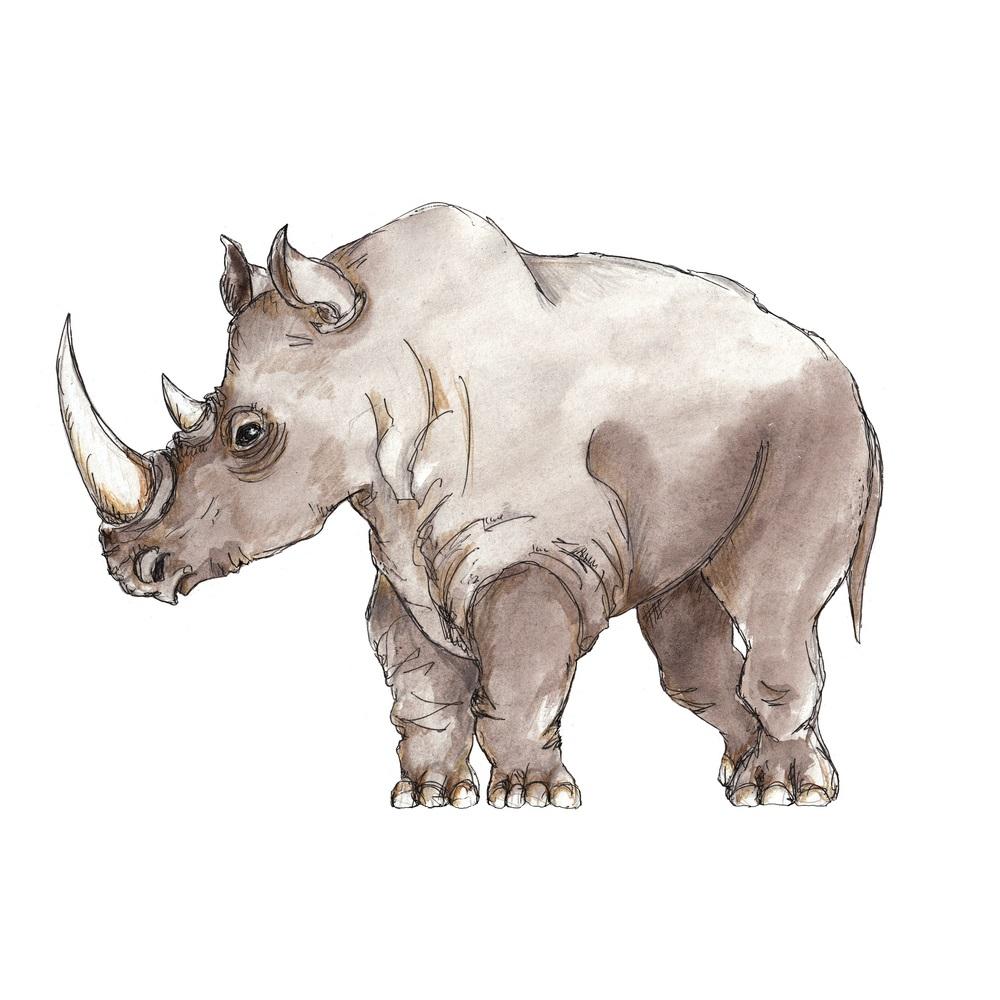 African Rhinoceros Fabric Panel - Gray