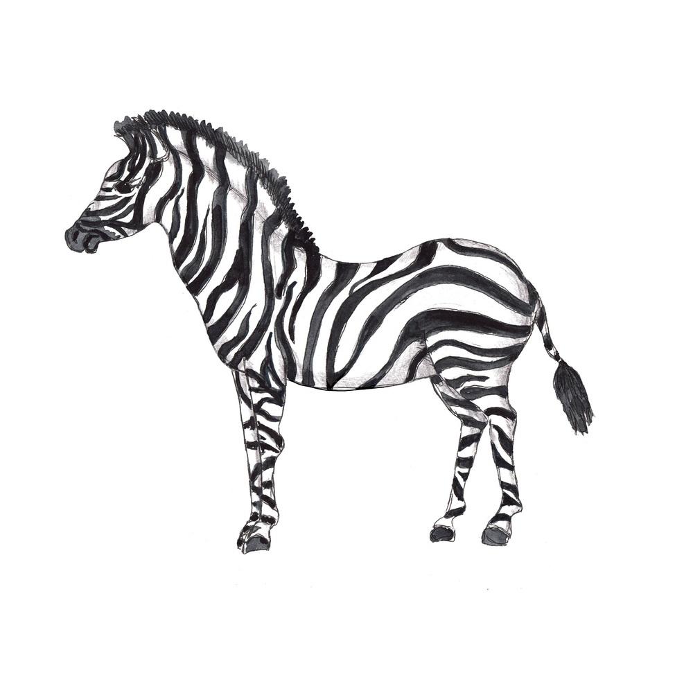 African Zebra Fabric Panel